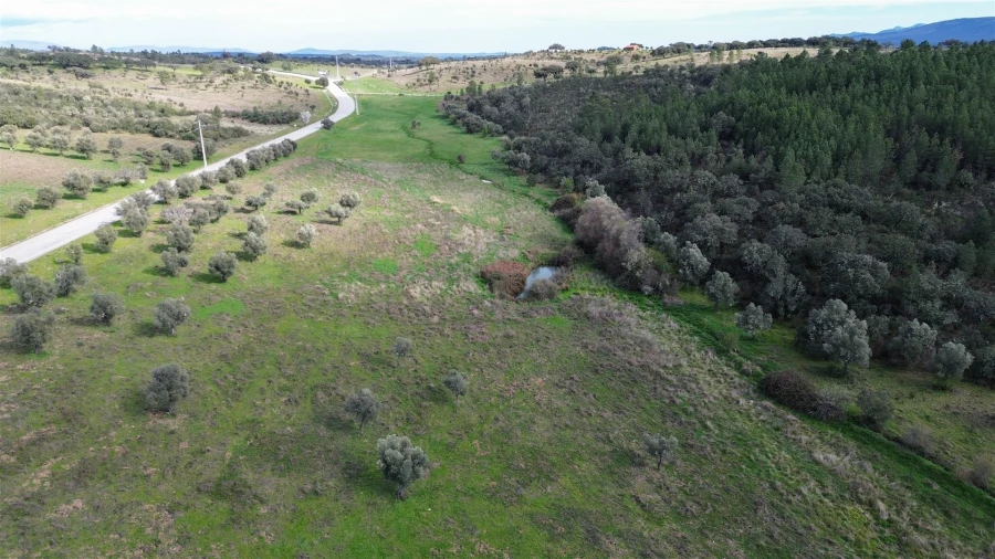 Quinta T0 para Venda em Penamacor Foto 43