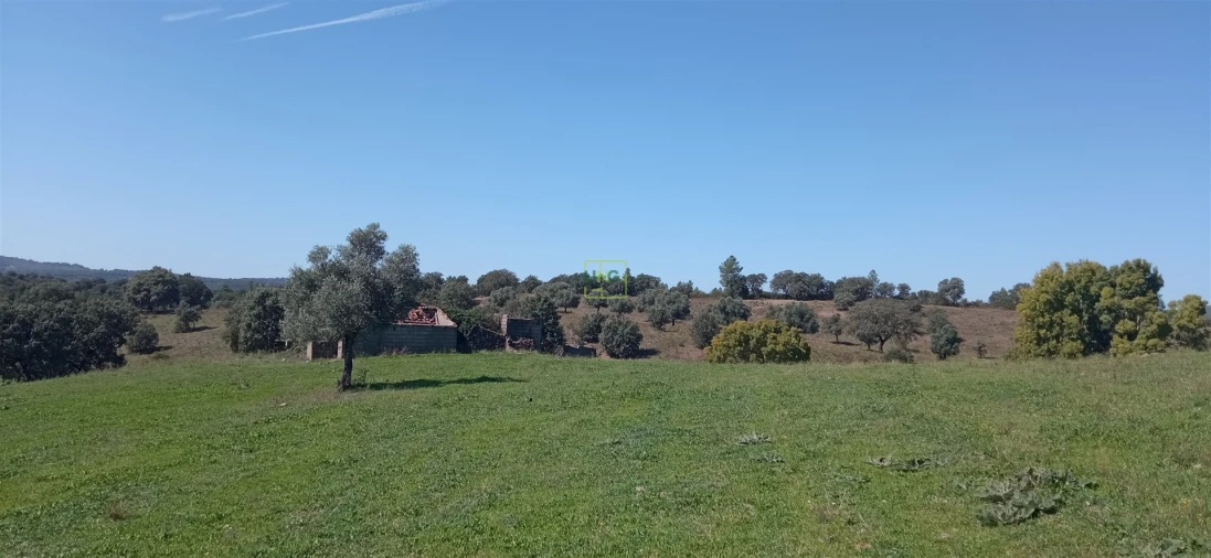 Quinta T0 para Venda em Penamacor Foto 15