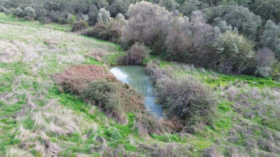 Quinta T0 para Venda em Penamacor Foto 45