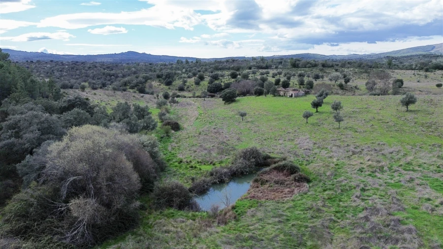 Quinta T0 para Venda em Penamacor Foto 49