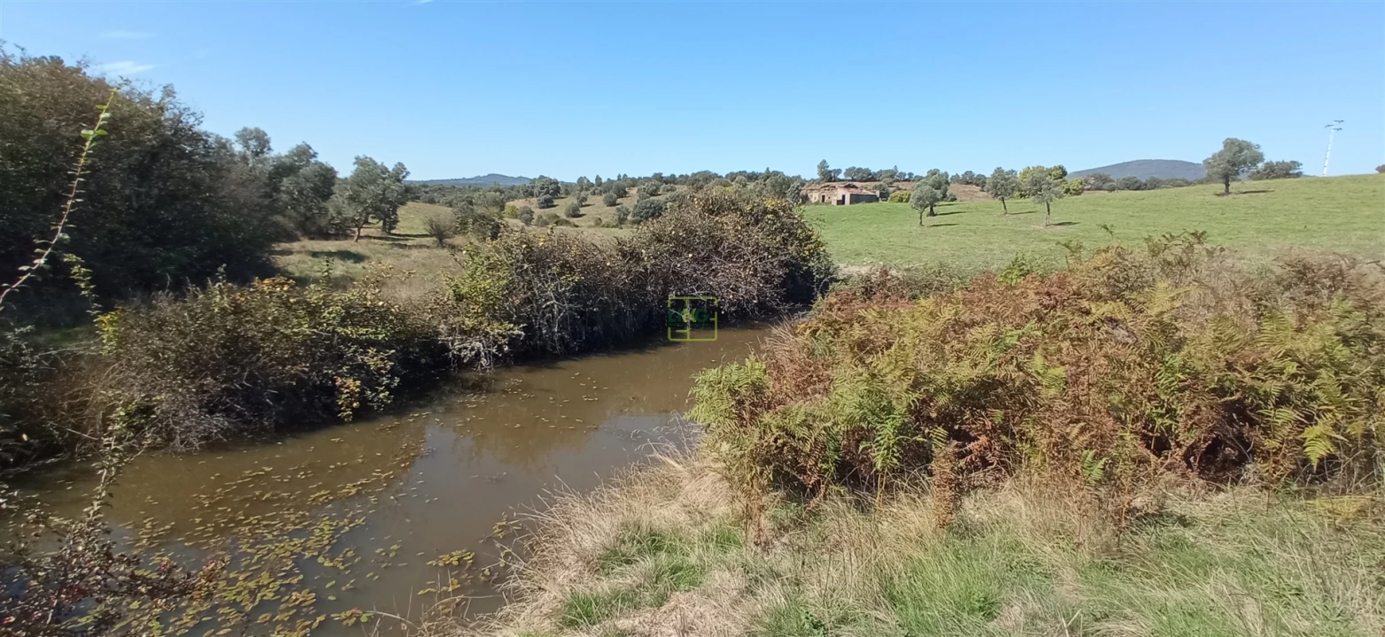 Quinta T0 para Venda em Penamacor Foto 17