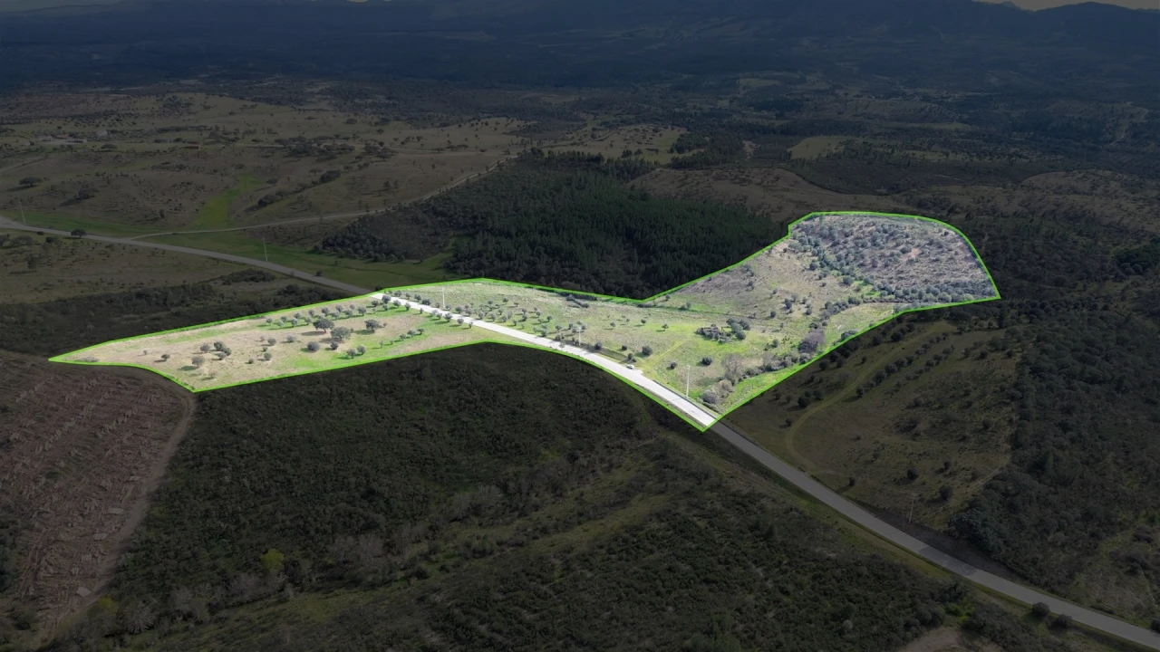 Quinta T0 para Venda em Penamacor Foto 31