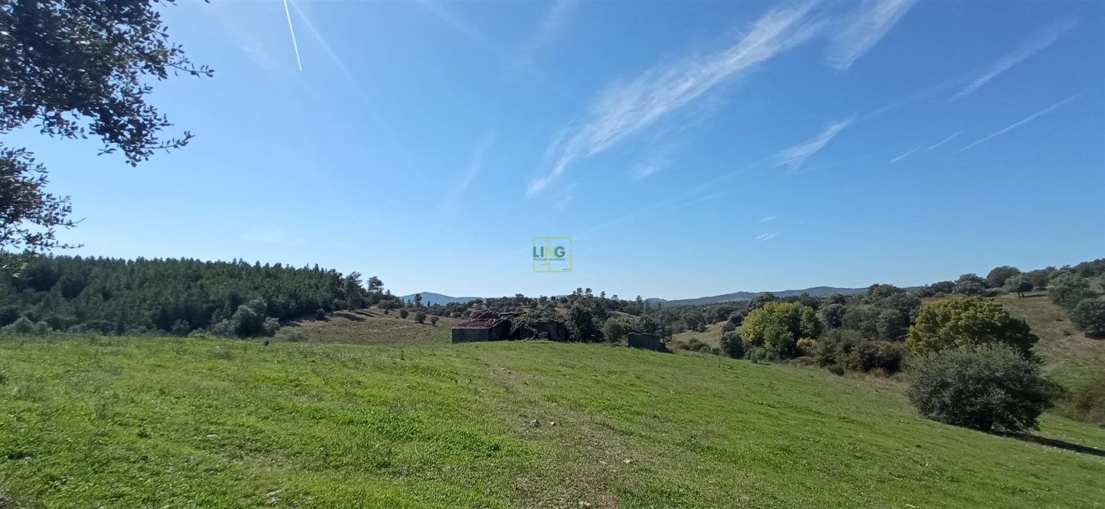 Quinta T0 para Venda em Penamacor Foto 13