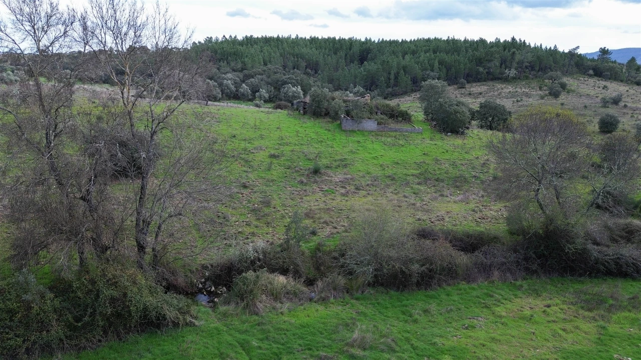 Quinta T0 para Venda em Penamacor Foto 53
