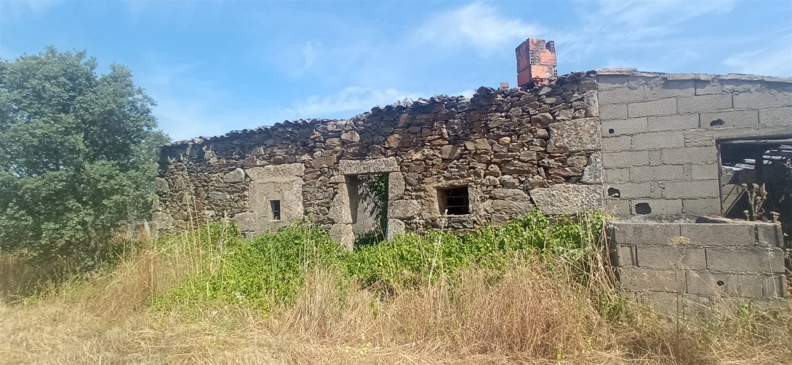 Quinta T0 para Venda em Penamacor Foto 24
