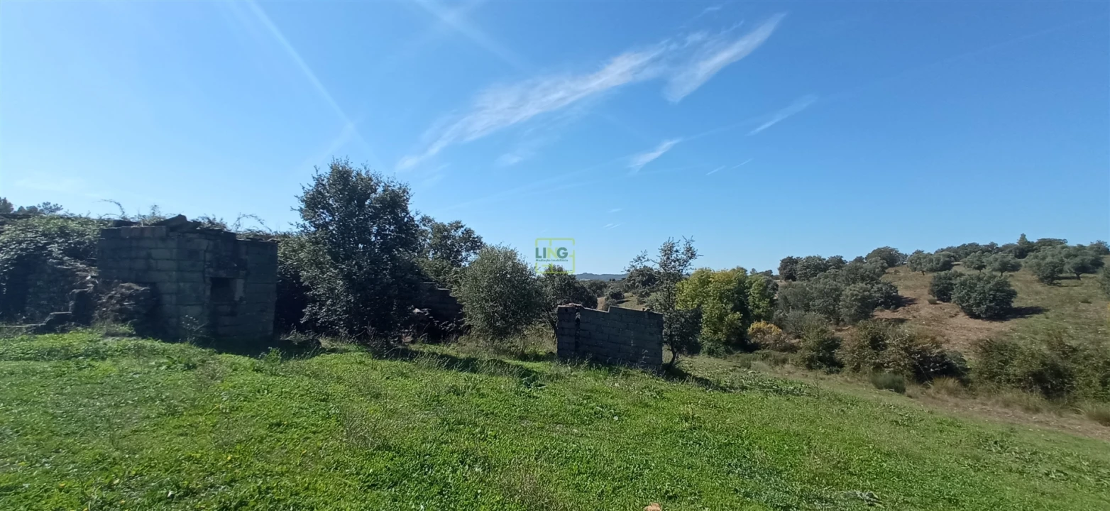 Quinta T0 para Venda em Penamacor Foto 10