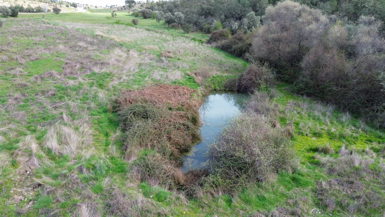 Quinta T0 para Venda em Penamacor Foto 44