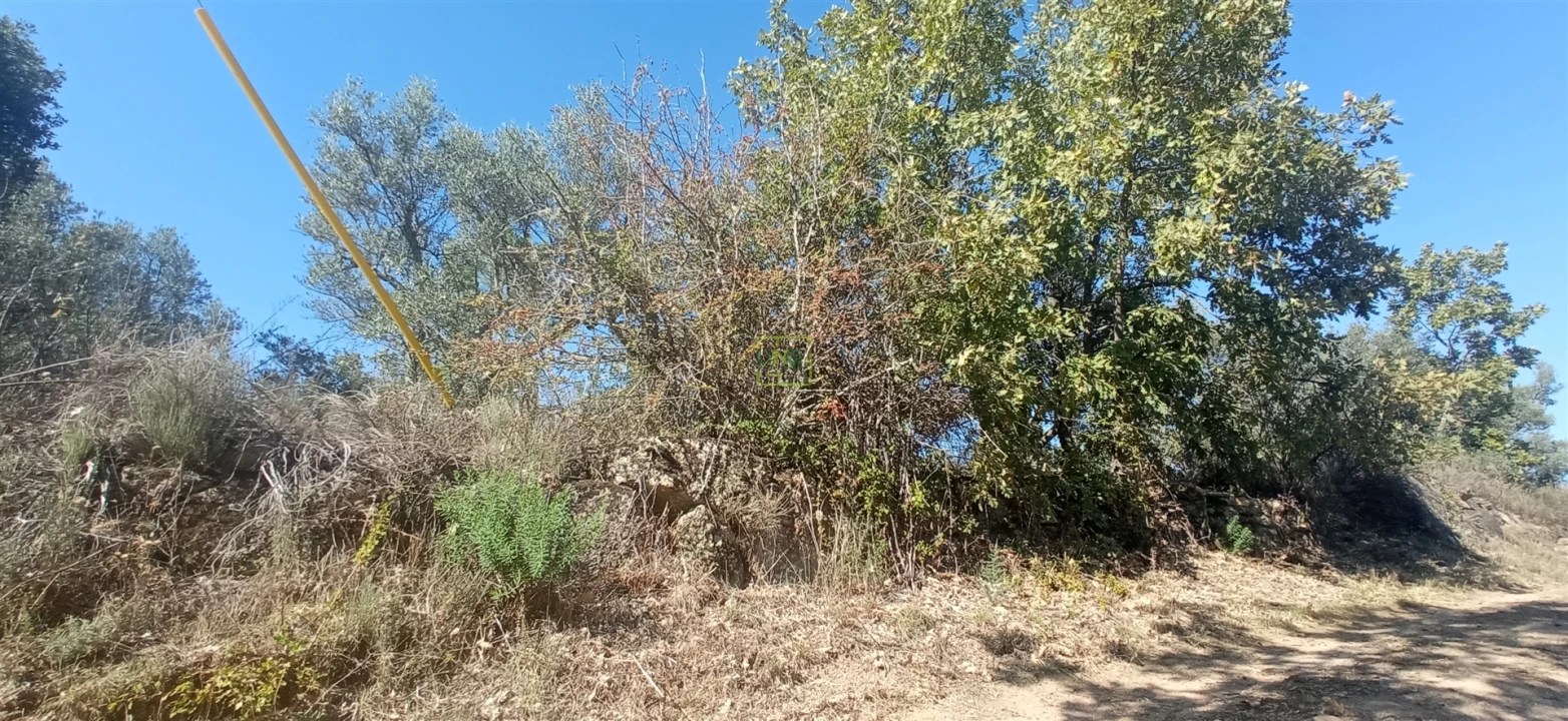 Terreno para Venda em Aranhas Foto 7