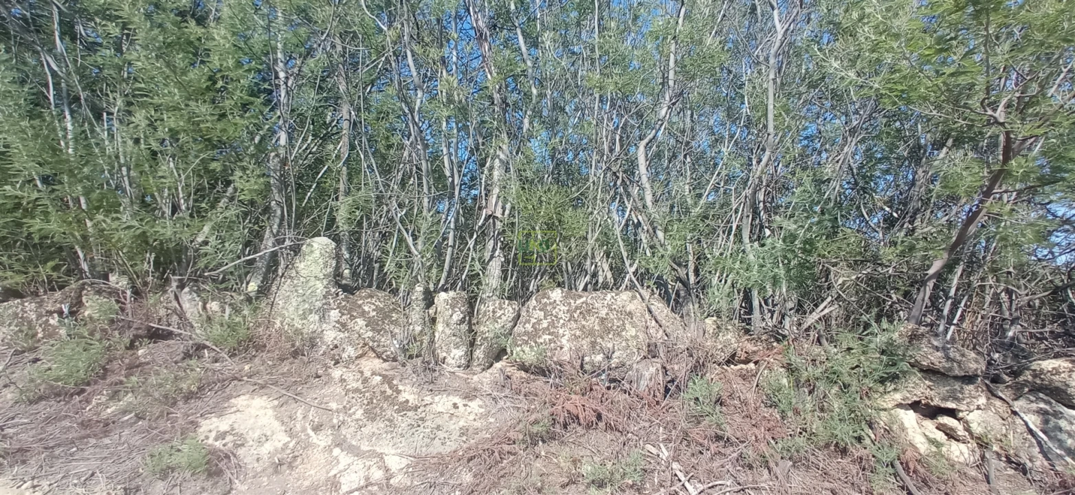 Terreno para Venda em Aranhas Foto 3