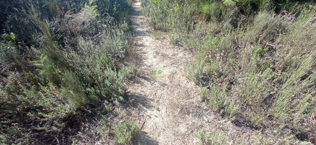 Terreno para Venda em Aranhas Foto 11