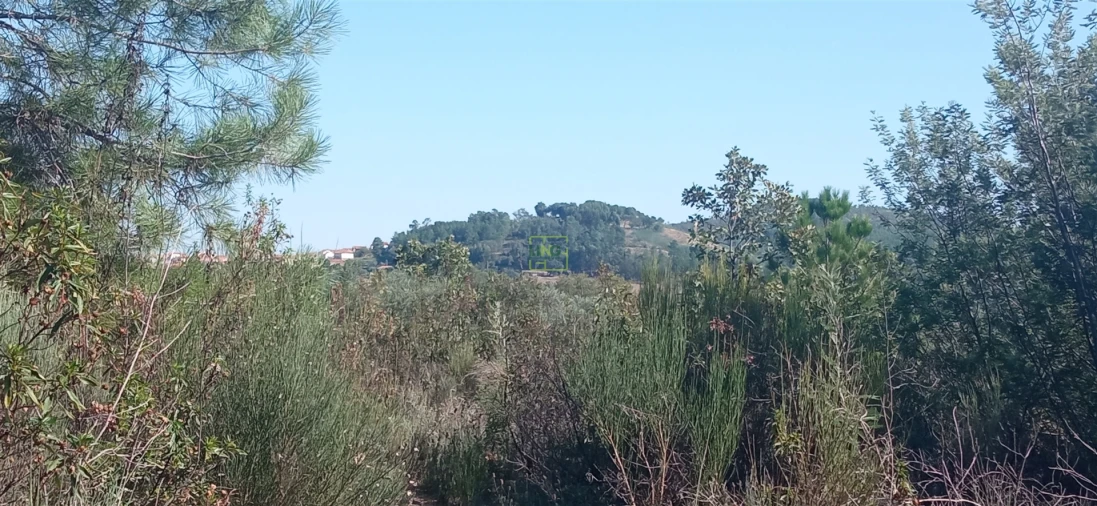 Terreno para Venda em Aranhas Foto 8