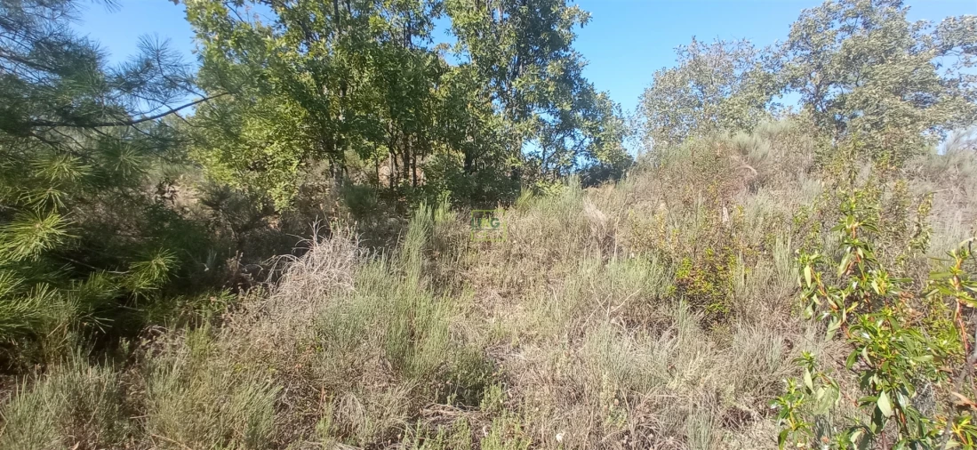 Terreno para Venda em Aranhas Foto 12