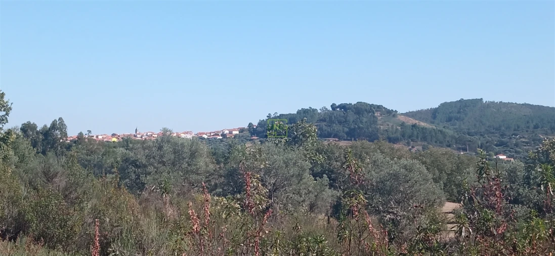 Terreno para Venda em Aranhas Foto 13