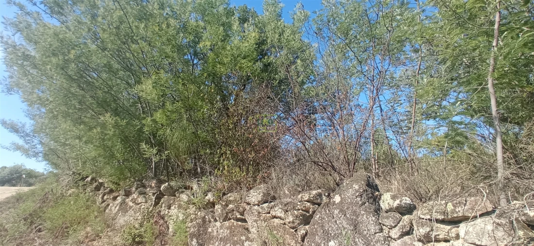 Terreno para Venda em Aranhas Foto 6