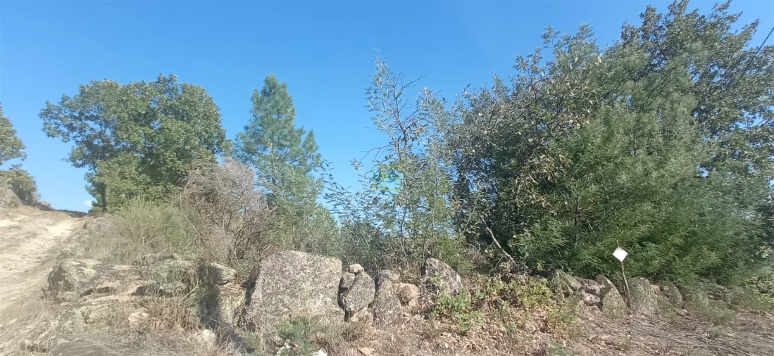 Terreno para Venda em Aranhas Foto 1