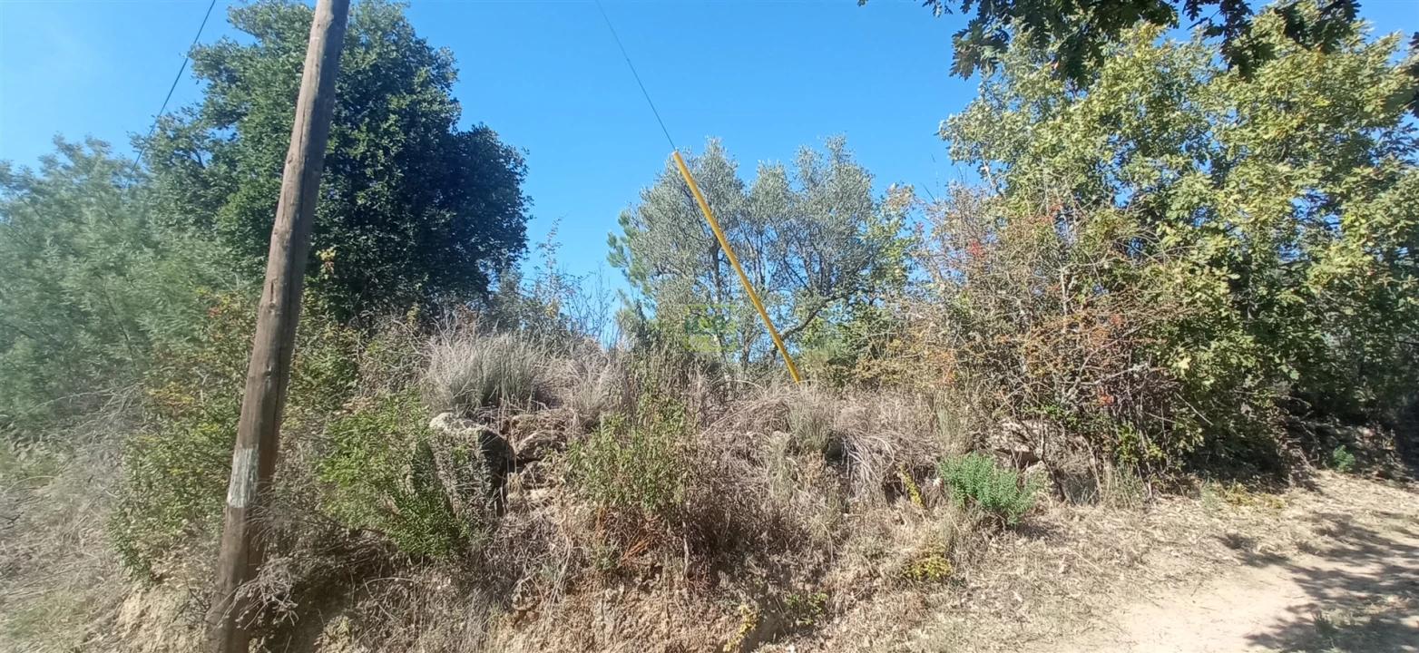 Terreno para Venda em Aranhas Foto 5