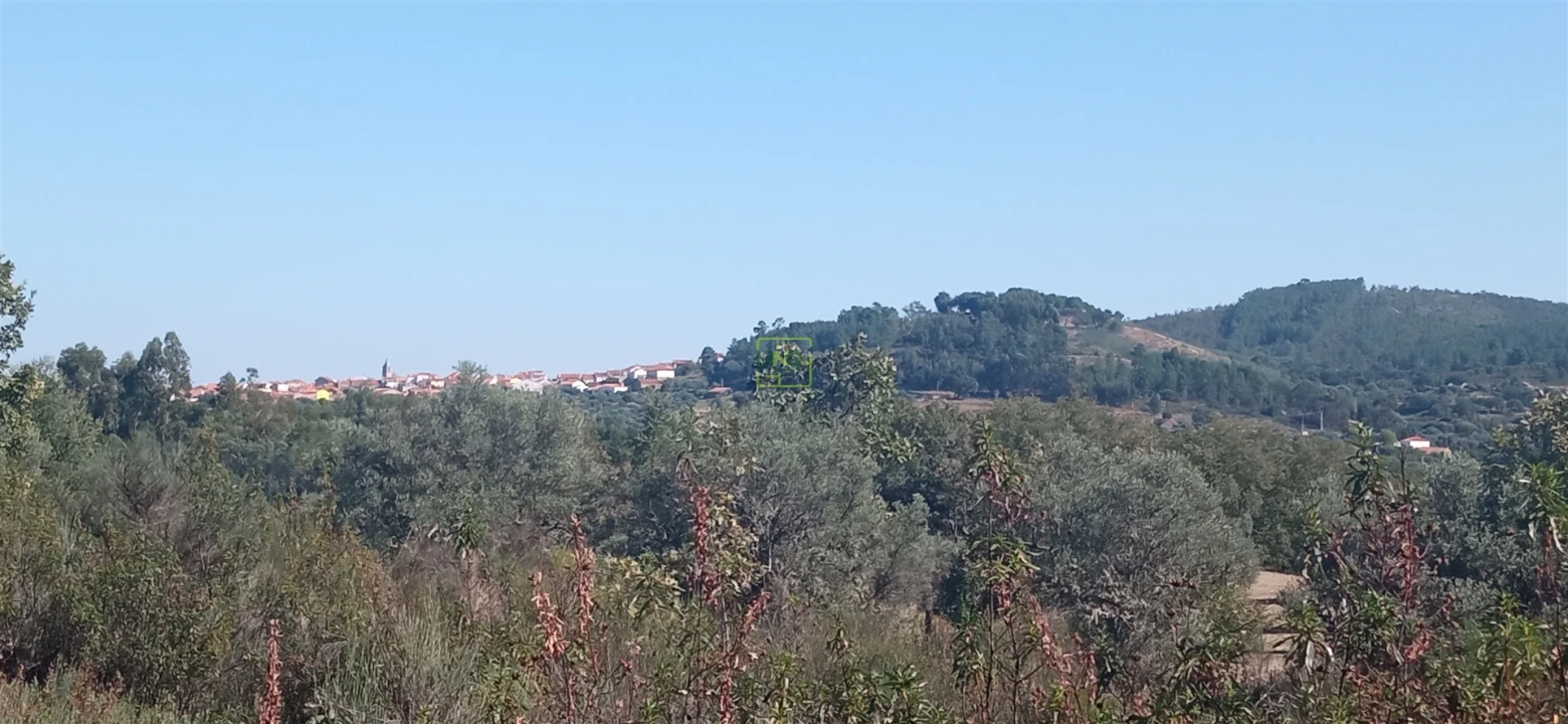 Terreno para Venda em Aranhas Foto 13