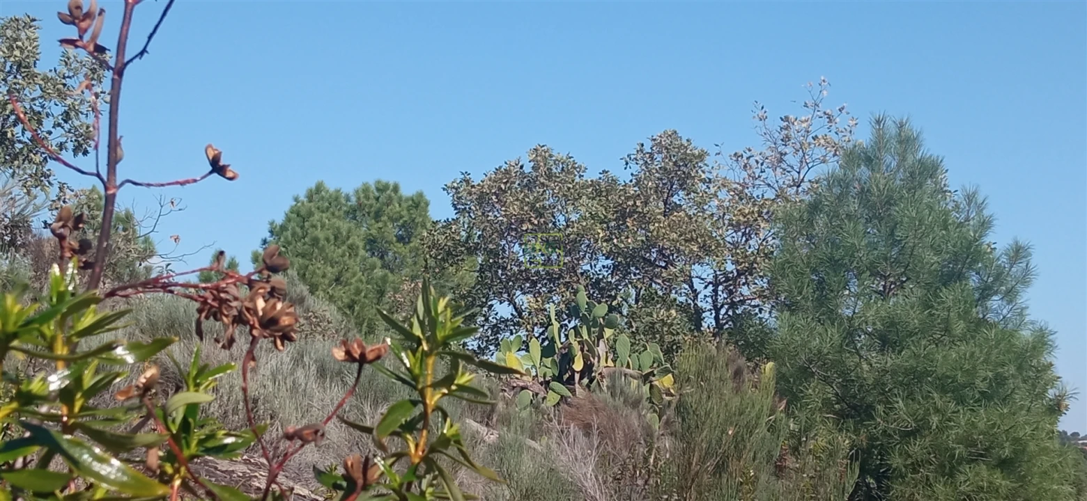 Terreno para Venda em Aranhas Foto 4