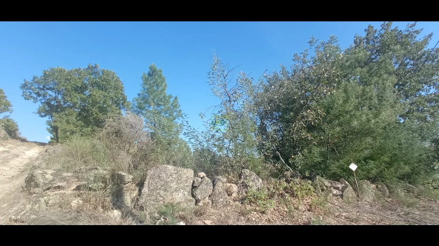 Terreno Agricola ou Rústico para Venda em Aranhas