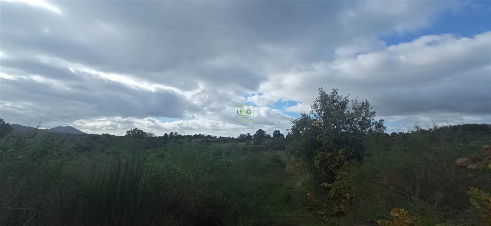Terreno para Venda em Aldeia do Bispo, Águas e Aldeia de João Pires Foto 11