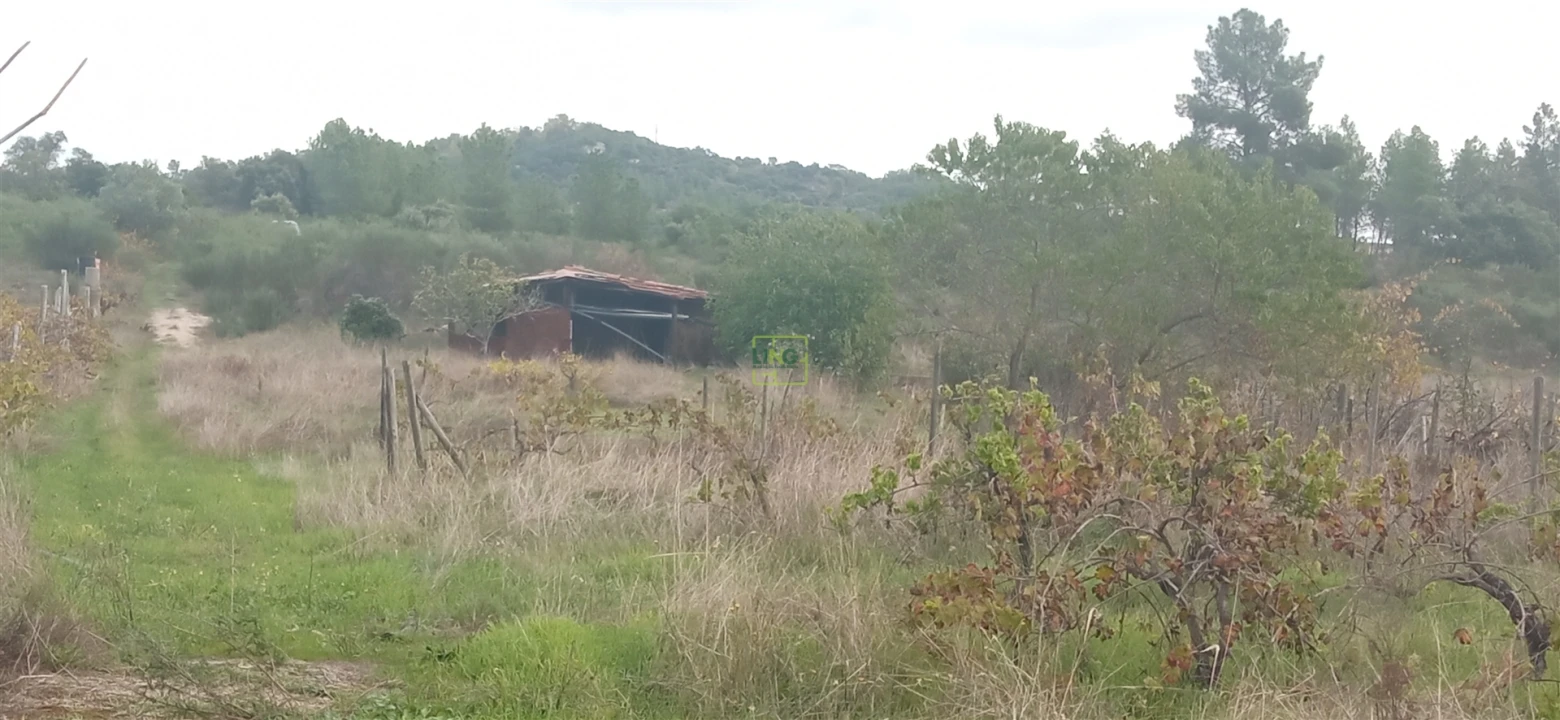 Terreno para Venda em Aldeia do Bispo, Águas e Aldeia de João Pires Foto 1