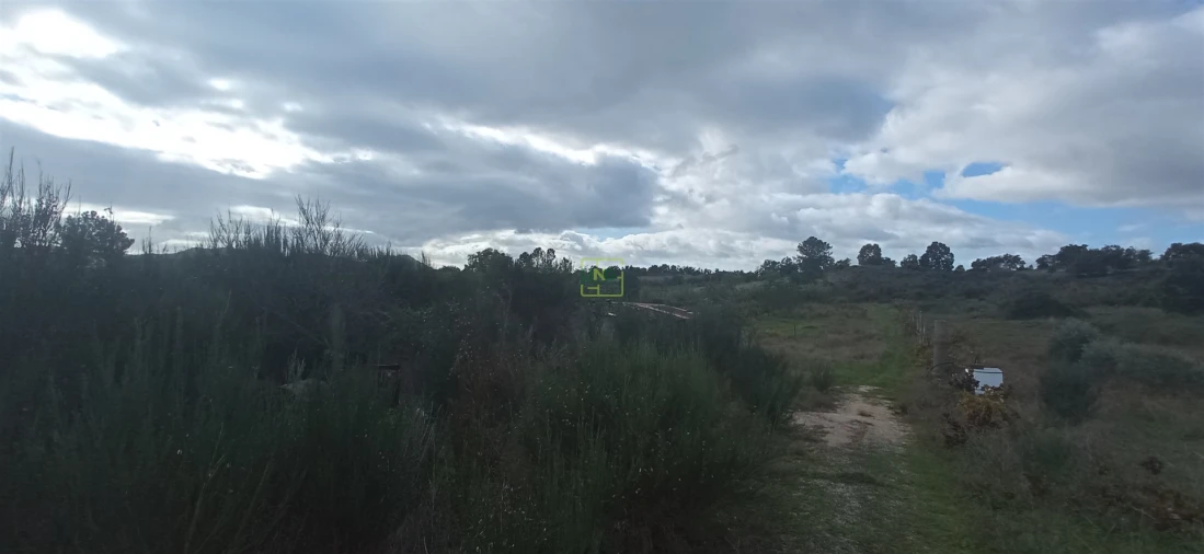 Terreno para Venda em Aldeia do Bispo, Águas e Aldeia de João Pires Foto 9