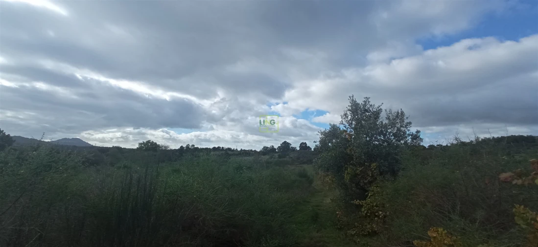 Terreno para Venda em Aldeia do Bispo, Águas e Aldeia de João Pires Foto 11