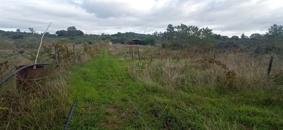 Terreno para Venda em Aldeia do Bispo, Águas e Aldeia de João Pires Foto 2