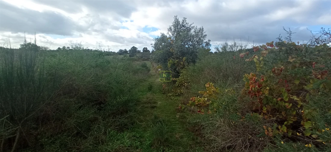 Terreno para Venda em Aldeia do Bispo, Águas e Aldeia de João Pires Foto 12