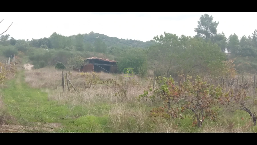 Terreno Agricola ou Rústico para Venda em Aldeia do Bispo, Águas e Aldeia de João Pires