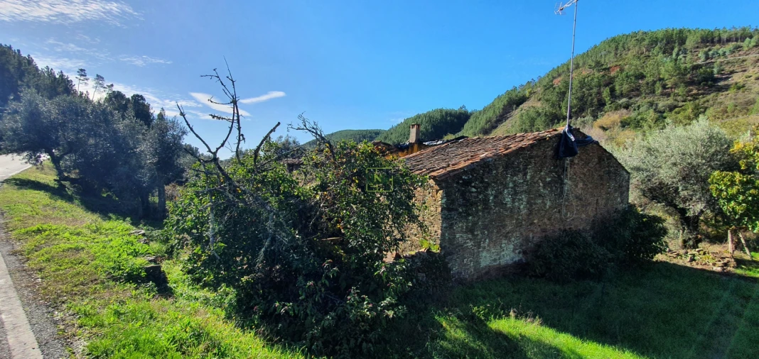 Moradia T3 para Venda em Sarzedas Foto 6