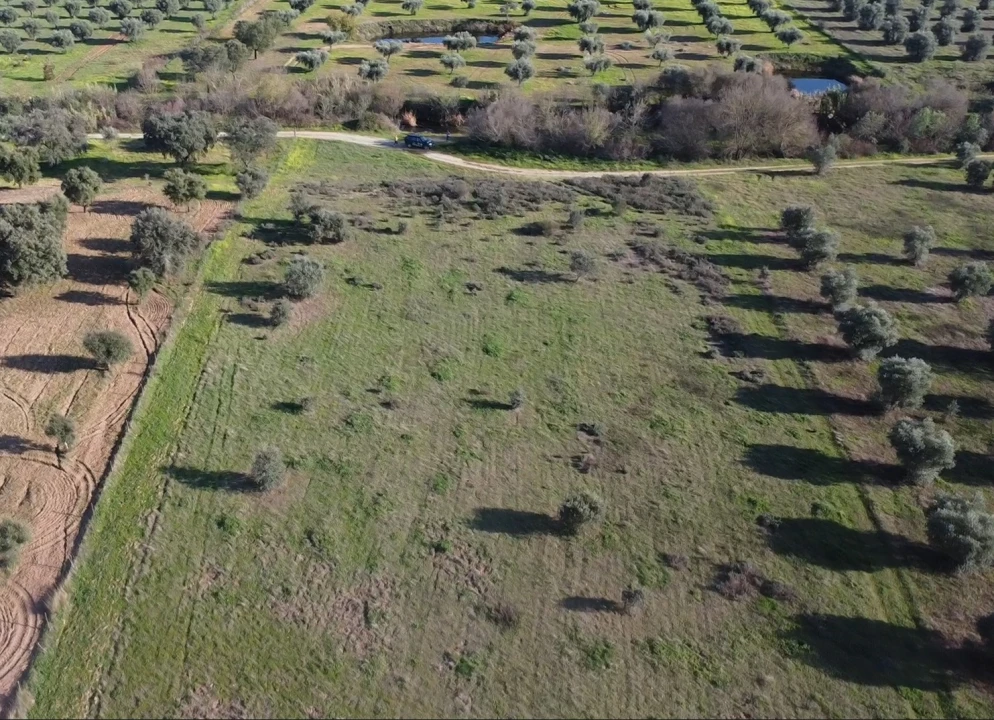 Terreno Agricola ou Rústico para Venda em Toulões Foto 22