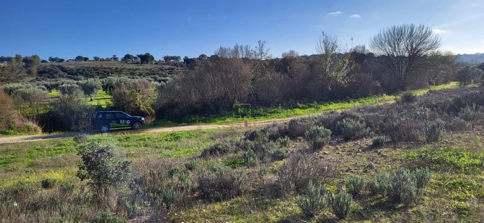 Terreno Agricola ou Rústico para Venda em Toulões Foto 15
