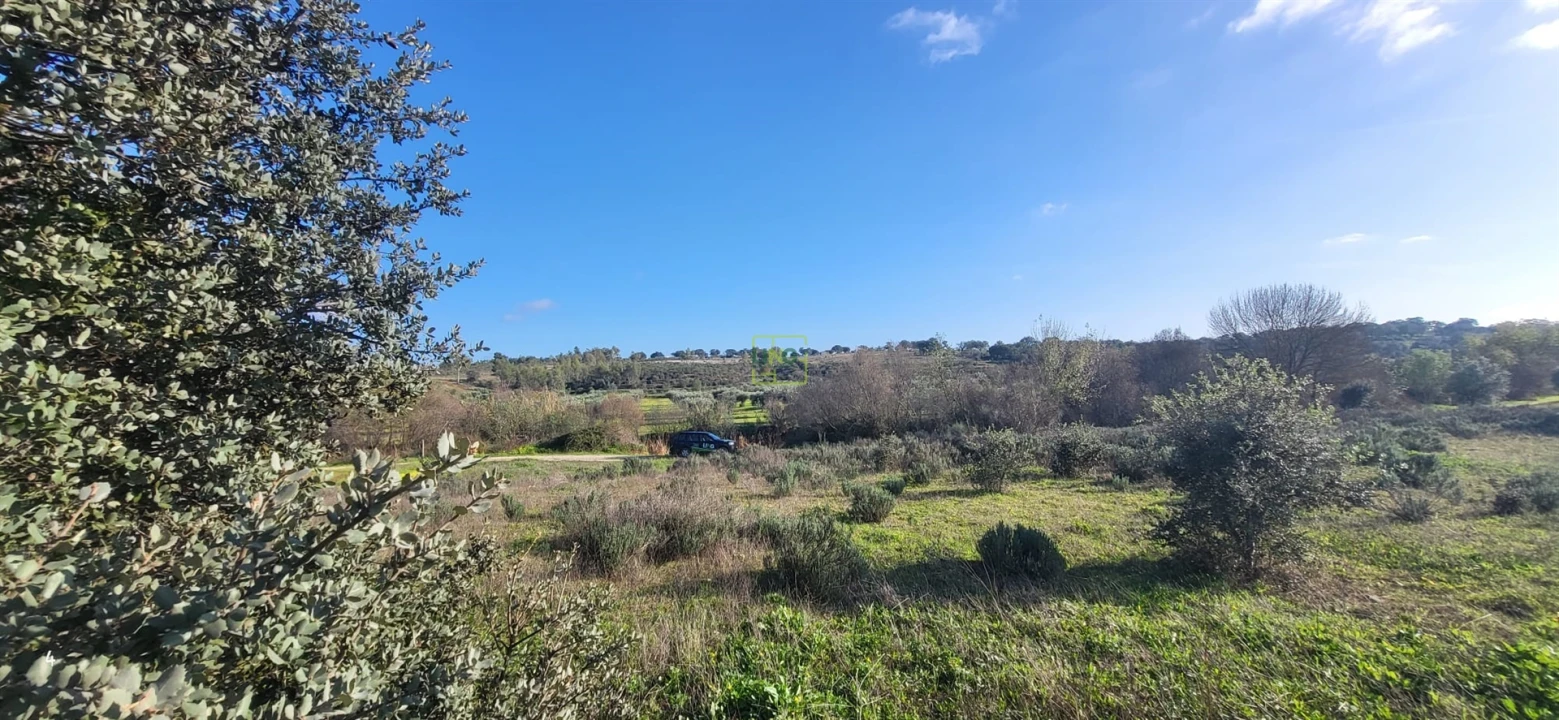 Terreno Agricola ou Rústico para Venda em Toulões Foto 5