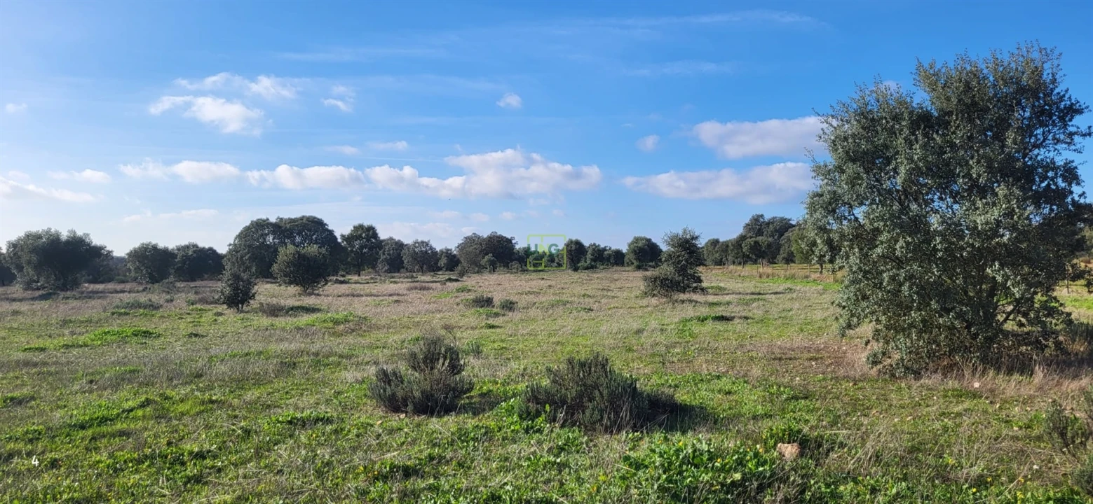 Terreno Agricola ou Rústico para Venda em Toulões Foto 11