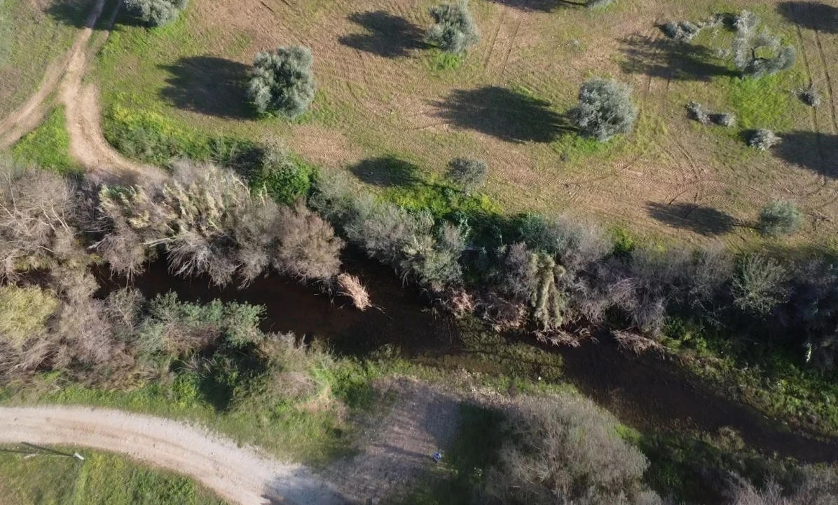 Terreno Agricola ou Rústico para Venda em Toulões Foto 24