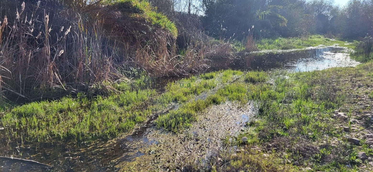 Terreno Agricola ou Rústico para Venda em Toulões Foto 19