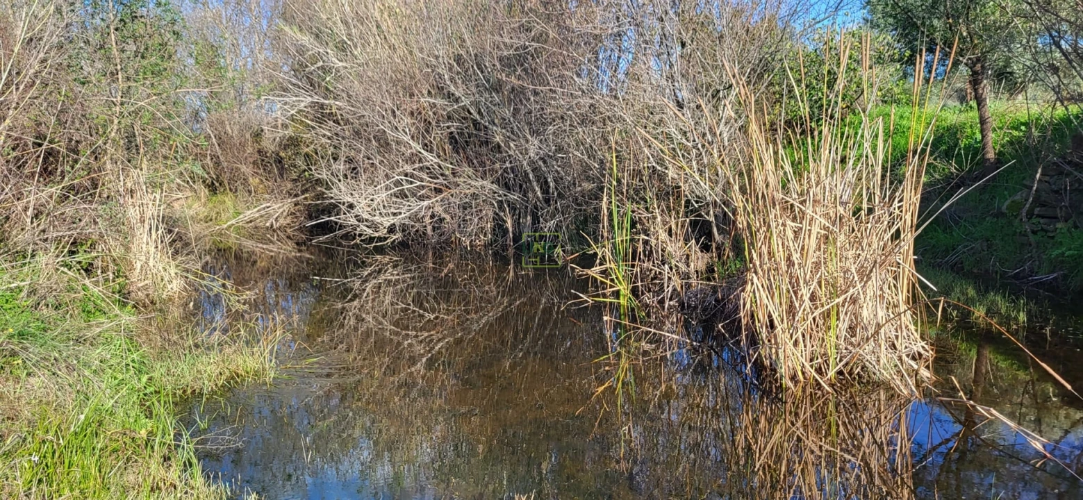 Terreno Agricola ou Rústico para Venda em Toulões Foto 21