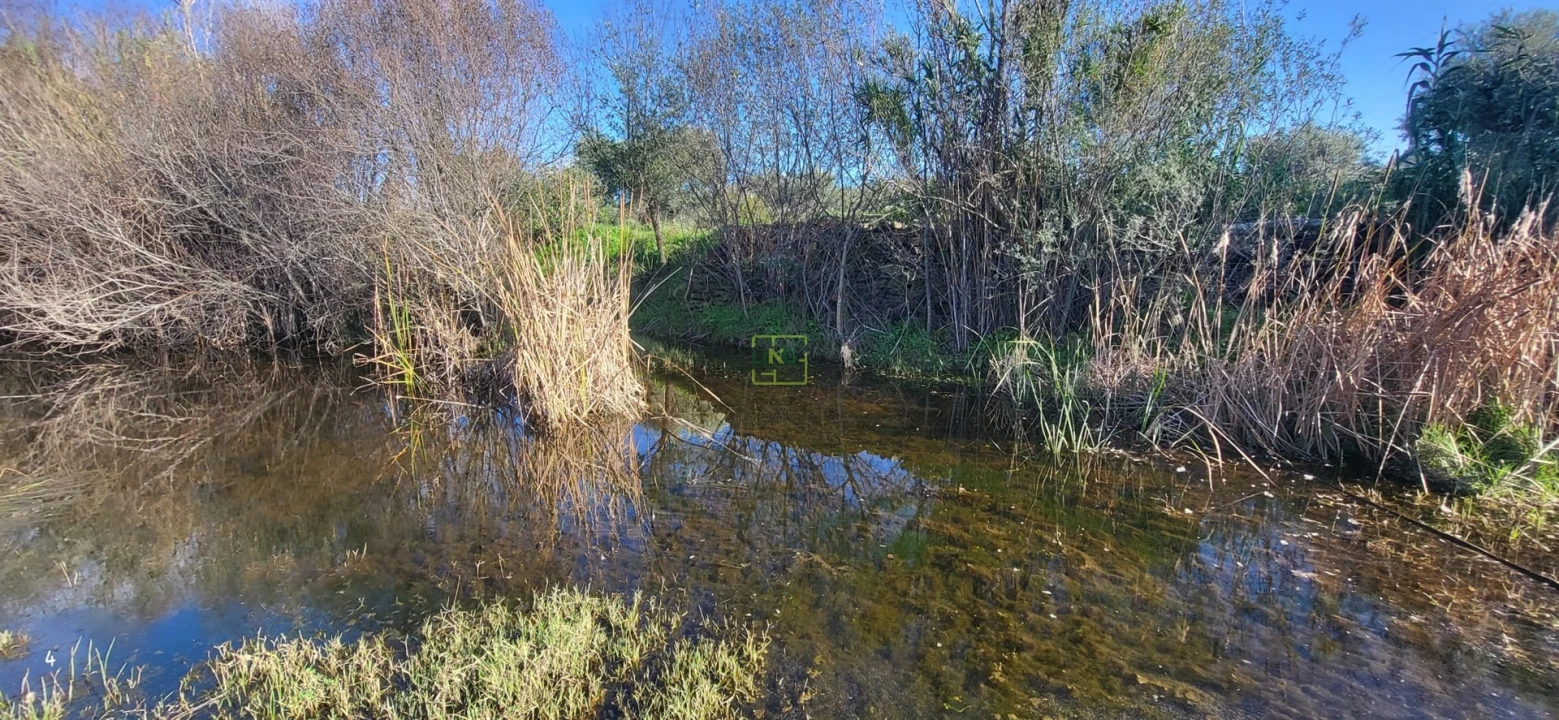 Terreno Agricola ou Rústico para Venda em Toulões Foto 18