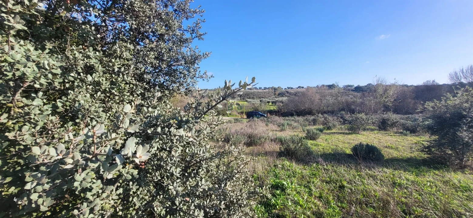 Terreno Agricola ou Rústico para Venda em Toulões Foto 12