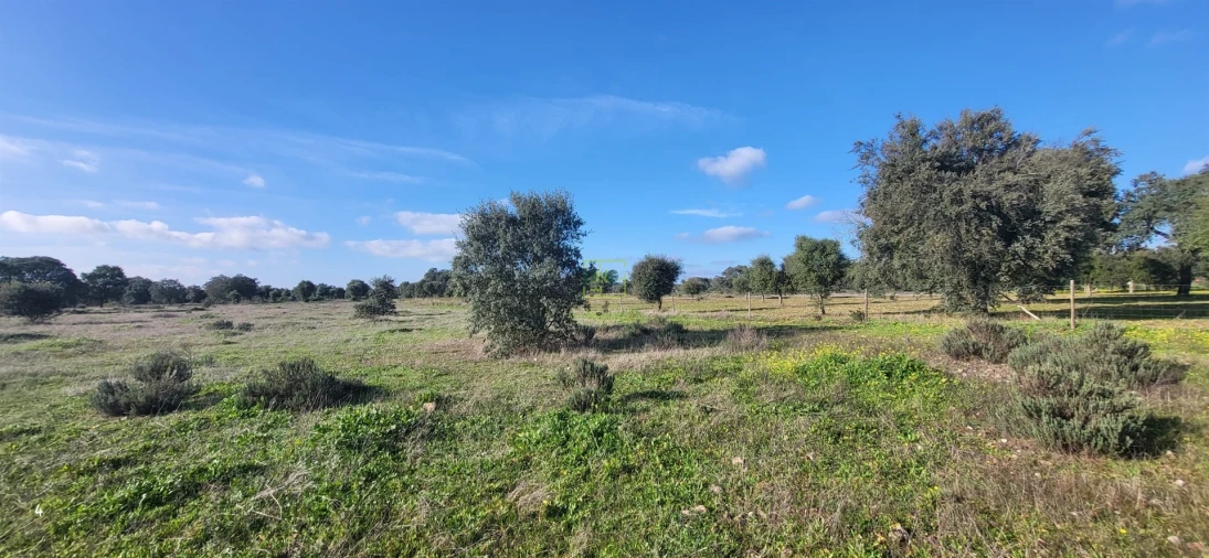 Terreno Agricola ou Rústico para Venda em Toulões Foto 9