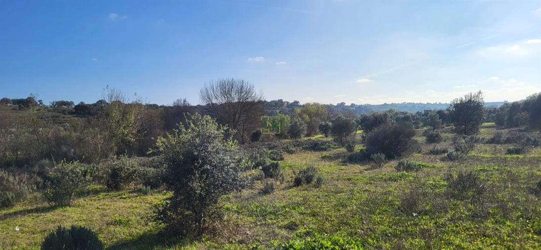 Terreno Agricola ou Rústico para Venda em Toulões Foto 6