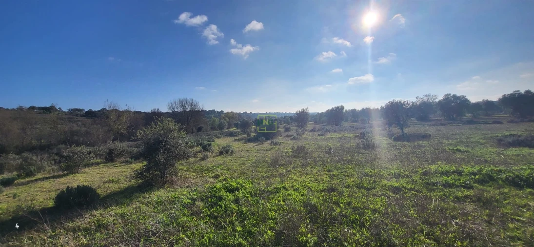 Terreno Agricola ou Rústico para Venda em Toulões Foto 7
