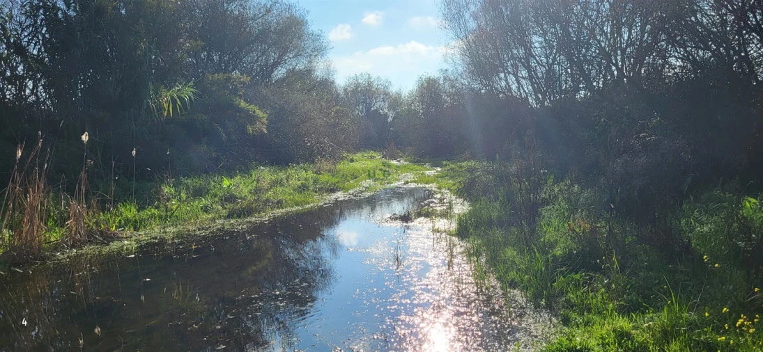 Terreno Agricola ou Rústico para Venda em Toulões Foto 20
