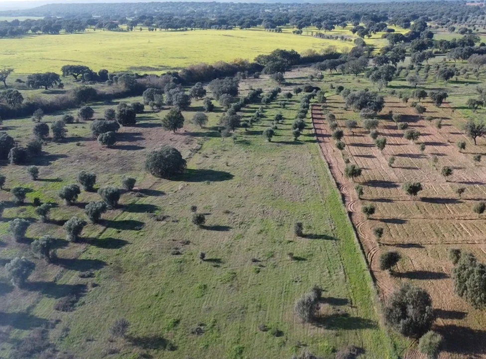 Terreno Agricola ou Rústico para Venda em Toulões Foto 23