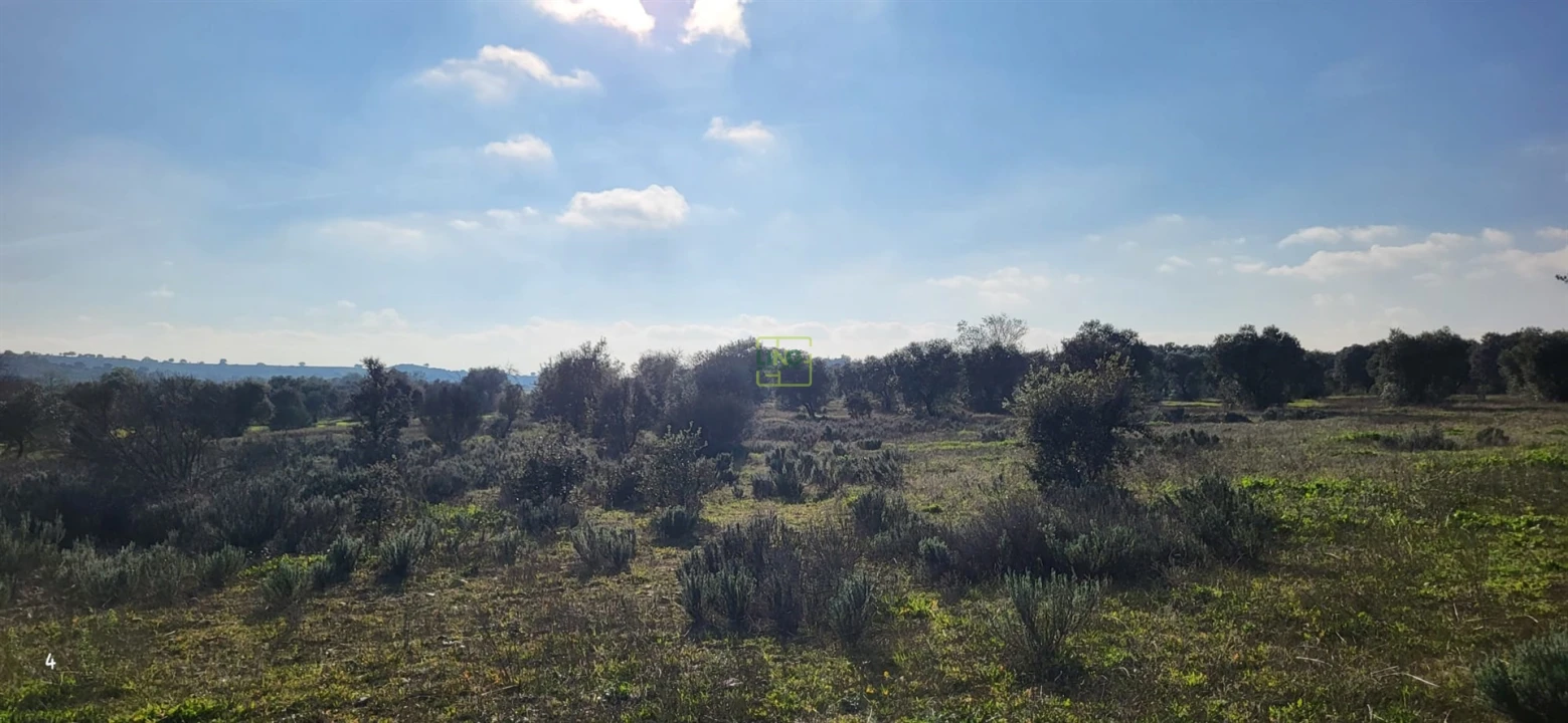 Terreno Agricola ou Rústico para Venda em Toulões Foto 14