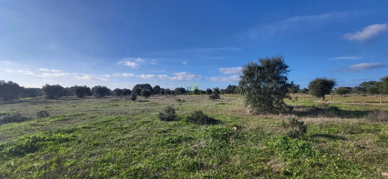 Terreno Agricola ou Rústico para Venda em Toulões Foto 10