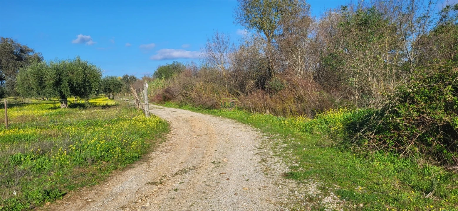 Terreno Agricola ou Rústico para Venda em Toulões Foto 16