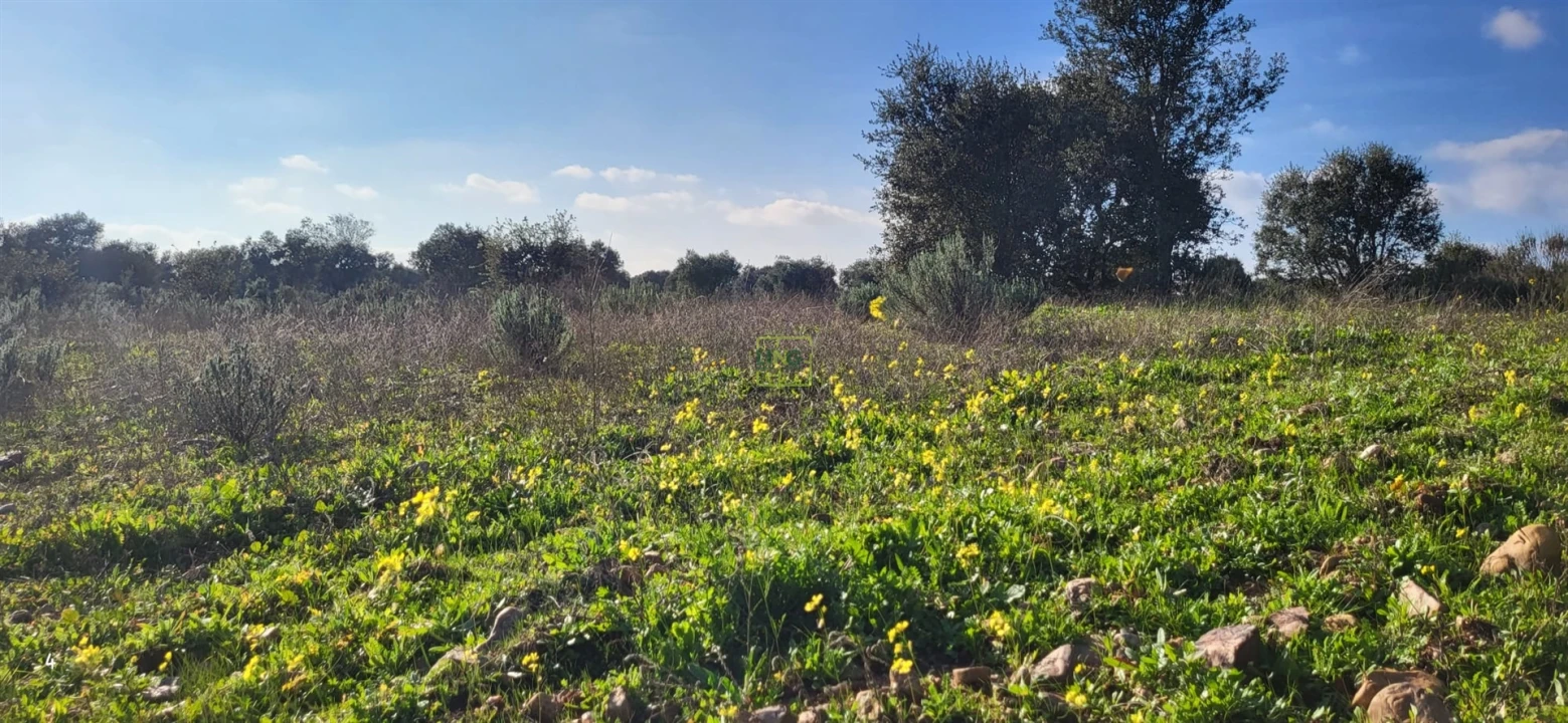Terreno Agricola ou Rústico para Venda em Toulões Foto 3