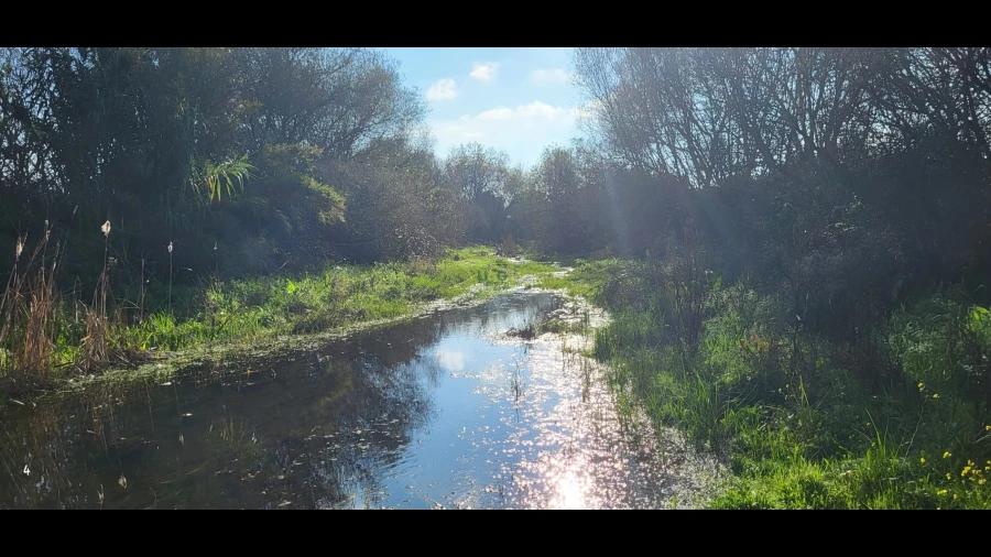 Terreno Agricola ou Rústico para Venda em Toulões